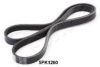 ASHIKA 112-5PK1260 V-Ribbed Belts